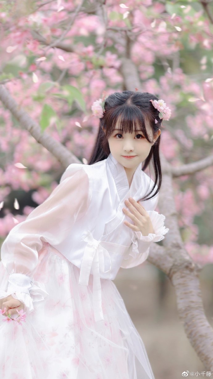 白蛇2：青蛇劫起